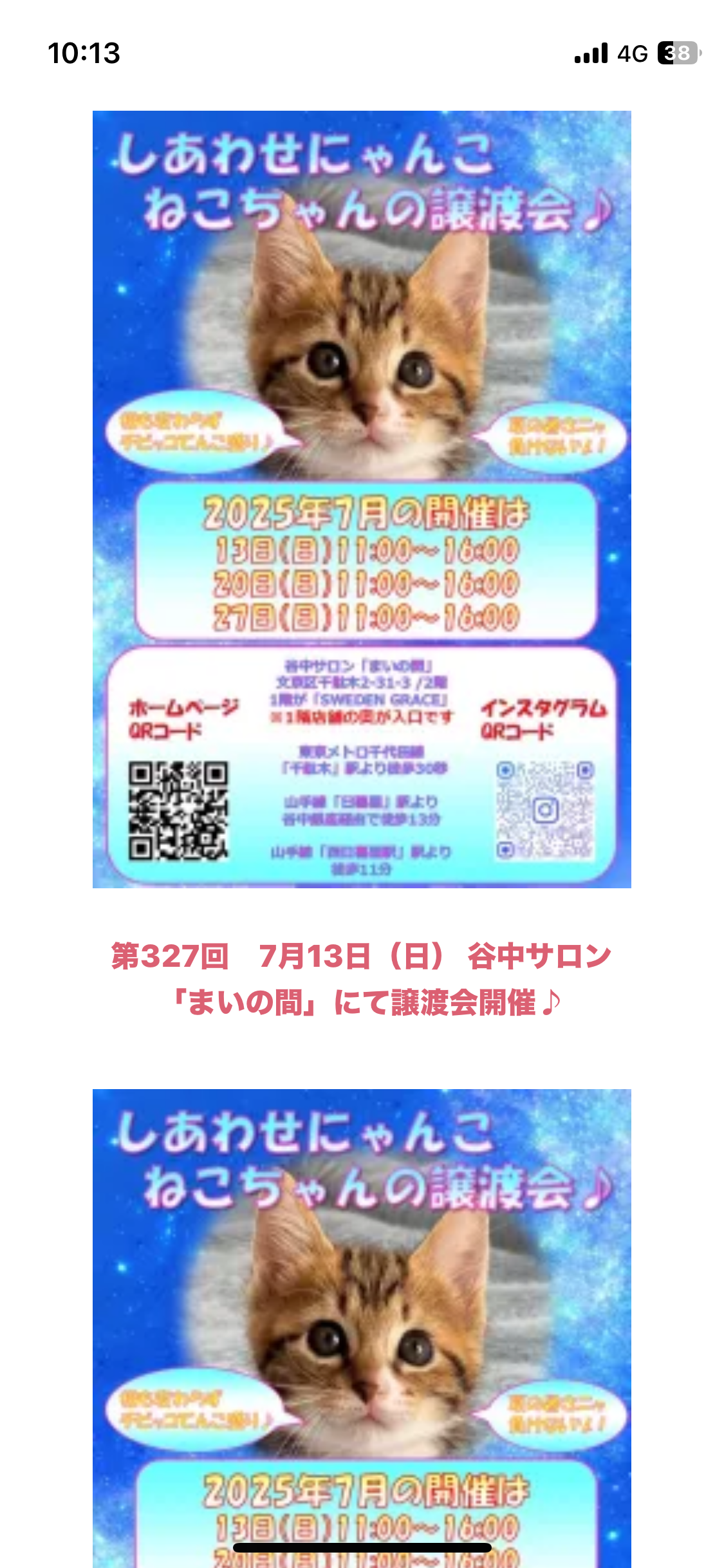 本日は、保護猫譲渡会 開催でーす。