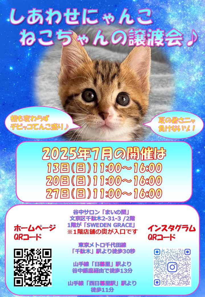 谷中での保護猫譲渡会がご案ニャイ