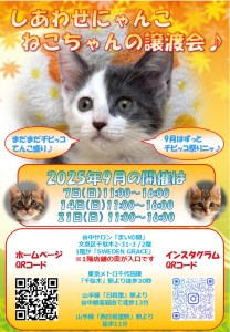 猫ちゃん譲渡会 本日開催でーす!