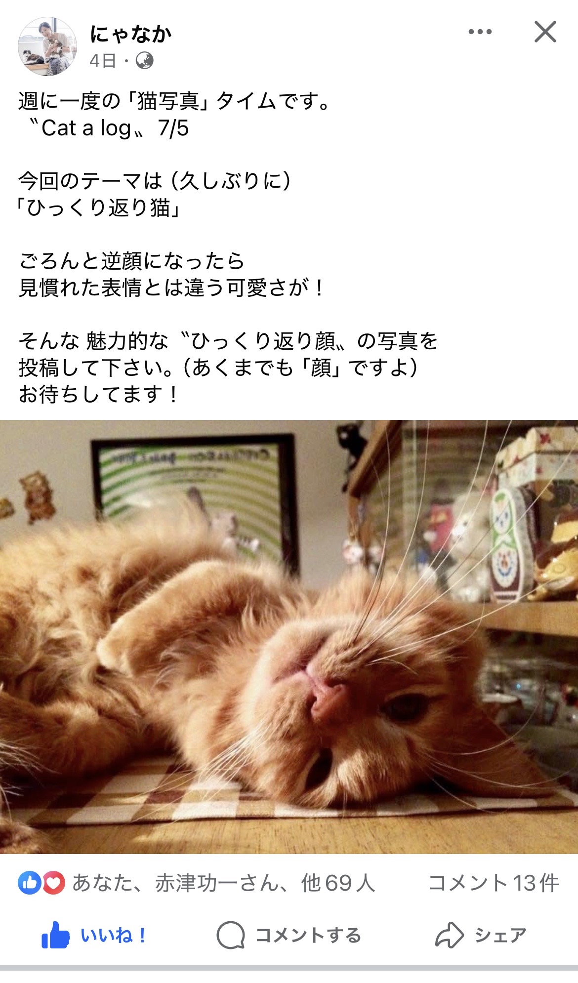Facebook「にゃなか」では、皆さんの可愛い猫写真投稿を募集しています