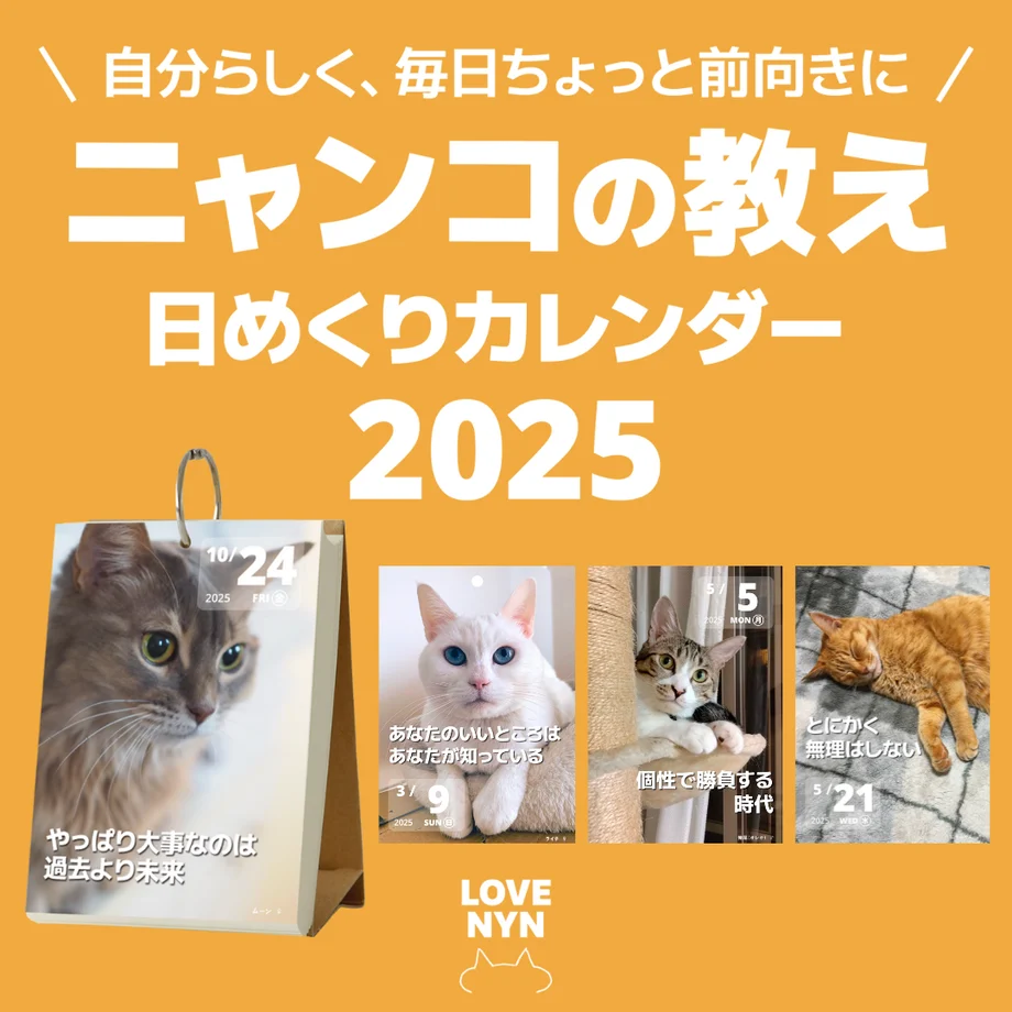 ニャンコの教え 日めくりカレンダー 2025 絶賛発売中だニャ!