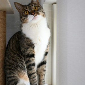 山田まる