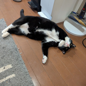 アル