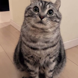 ぺぺ