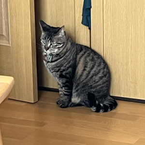 なみ