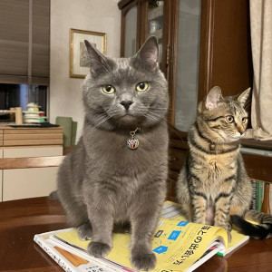 ジョージ