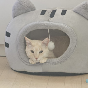 テオ