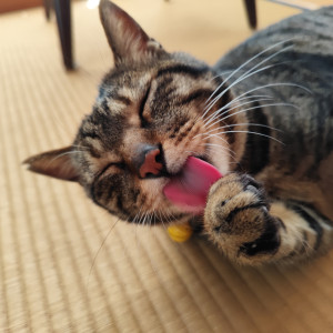 らいちゃん