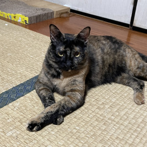 ノリ