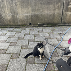 コバちゃん