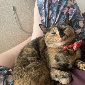 くぅちゃん
