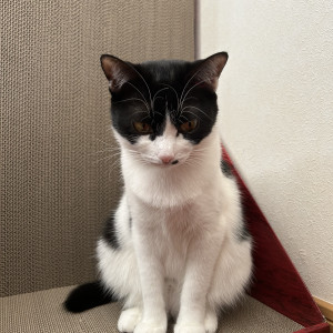 メル